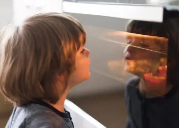 ماکروفر سامسونگ